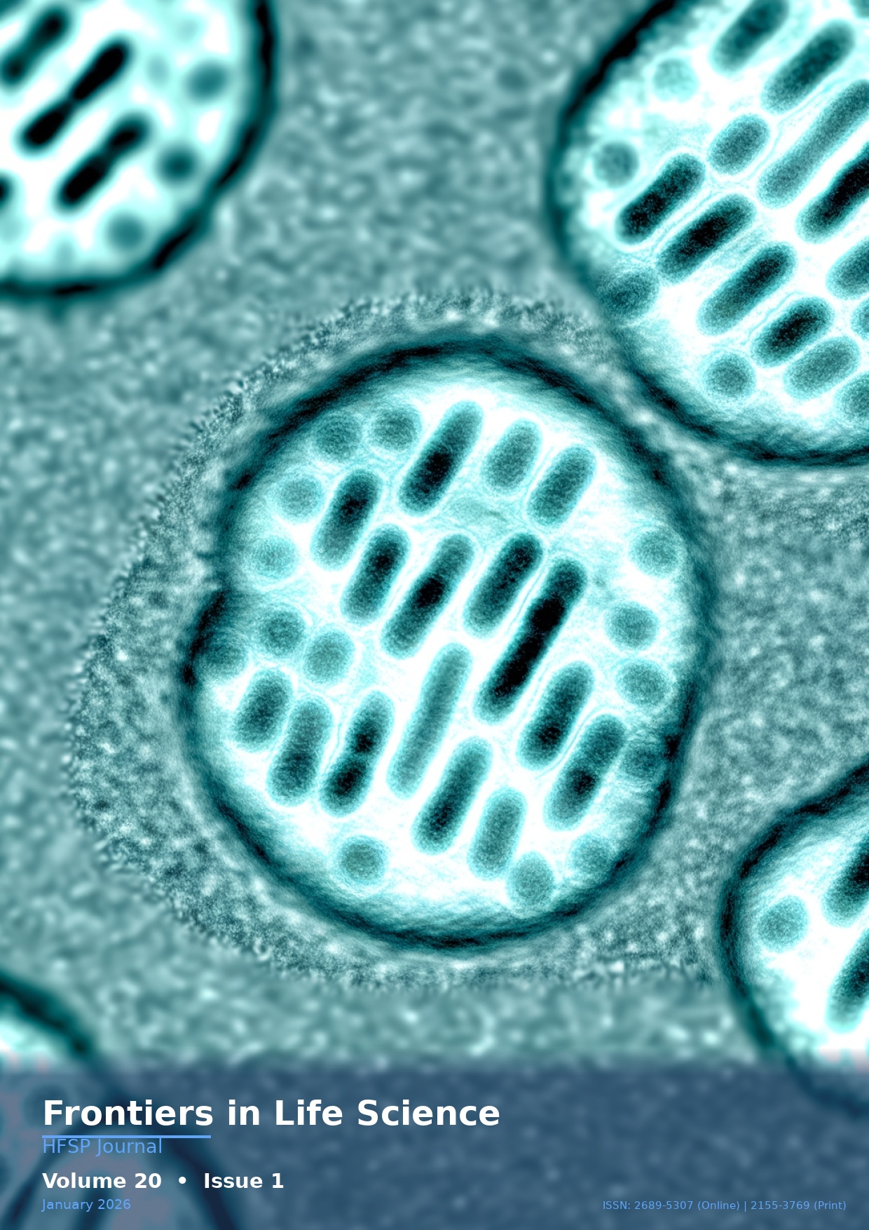 Cover - Volume 20, Issue 1