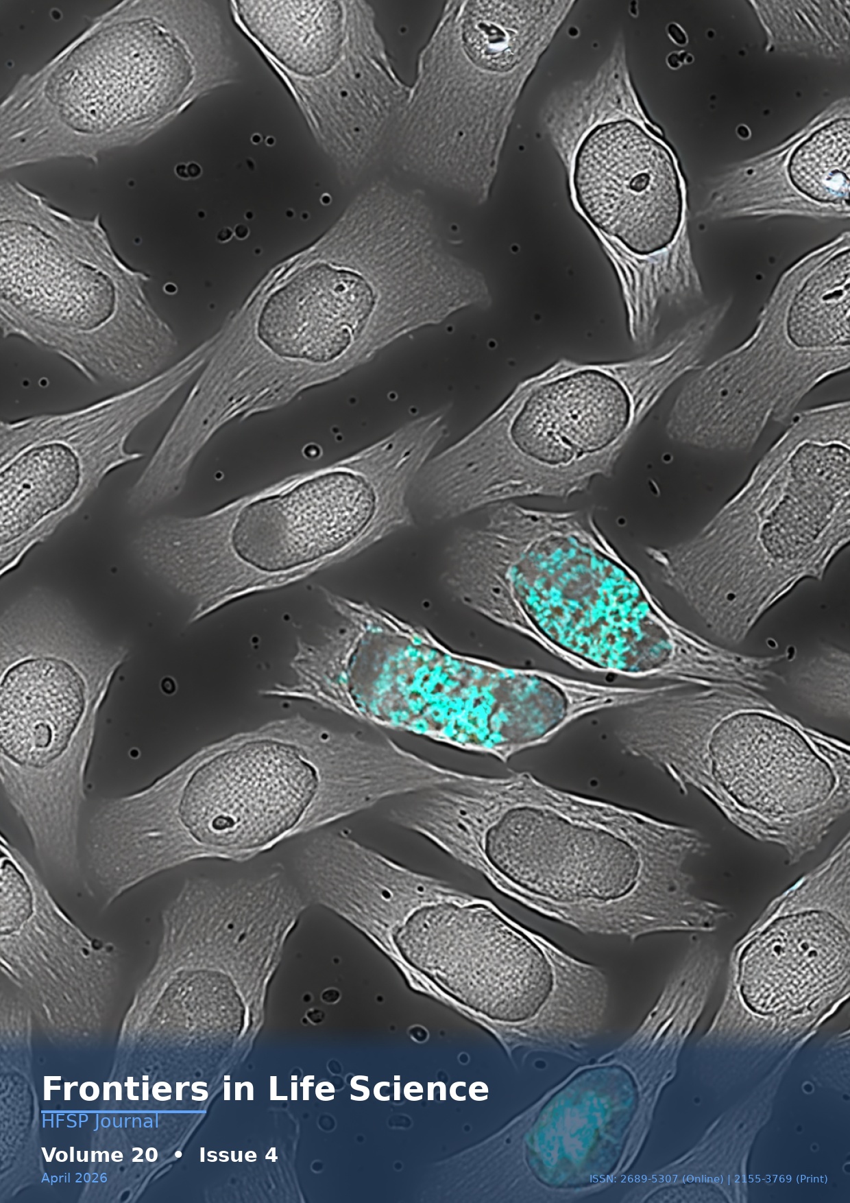 Frontiers in Life Science - Volume 20, Issue 4